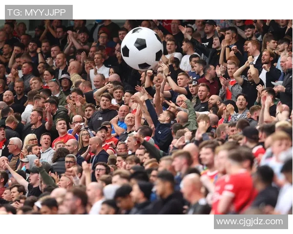 球迷炸锅：总决赛这一行为引热议！