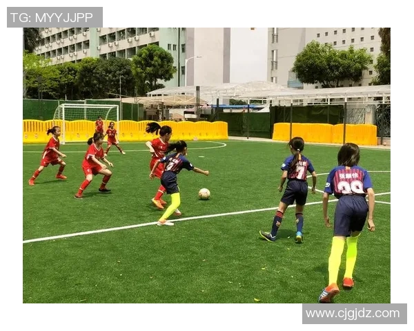 从绿茵少年到世界巨星揭秘世界杯背后的成长与荣耀之路